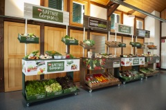 029_©_www_zweischrittweiter_at