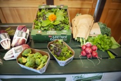 142_©_www_zweischrittweiter_at