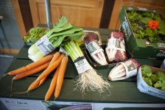 143_©_www_zweischrittweiter_at