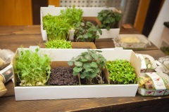 149_©_www_zweischrittweiter_at