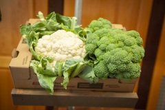 150_©_www_zweischrittweiter_at