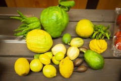 153_©_www_zweischrittweiter_at