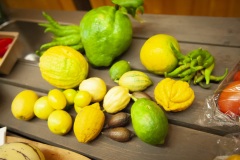 154_©_www_zweischrittweiter_at