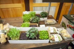 163_©_www_zweischrittweiter_at