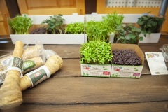 166_©_www_zweischrittweiter_at