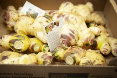 170_©_www_zweischrittweiter_at