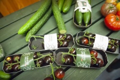 172_©_www_zweischrittweiter_at