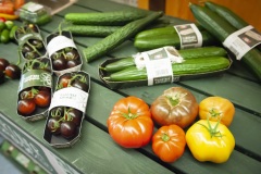 174_©_www_zweischrittweiter_at