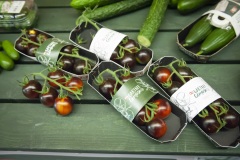 175_©_www_zweischrittweiter_at