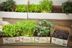 179_©_www_zweischrittweiter_at