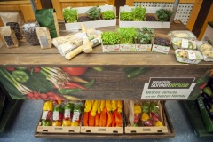 185_©_www_zweischrittweiter_at