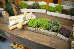 187_©_www_zweischrittweiter_at