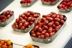 197_©_www_zweischrittweiter_at