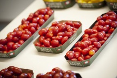 198_©_www_zweischrittweiter_at