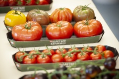 202_©_www_zweischrittweiter_at