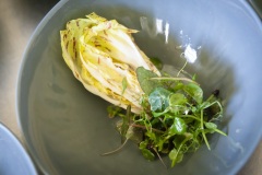 041_©_www_zweischrittweiter_at